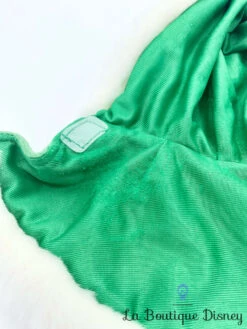 Poupée Chiffon Anna La Reine Des Neiges Disney Store Peluche Robe Verte Cape Hiver 57 Cm -Disney img 3113