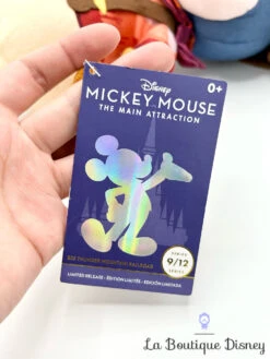 Peluche Mickey Mouse The Main Attraction 9 Sur 12 Big Thunder Mountain Railroad Disney Store 2022 Édition Limitée 44 Cm -Disney peluche mickey mouse main attraction 9 12 big thunder mountain disney store edition limitee 5